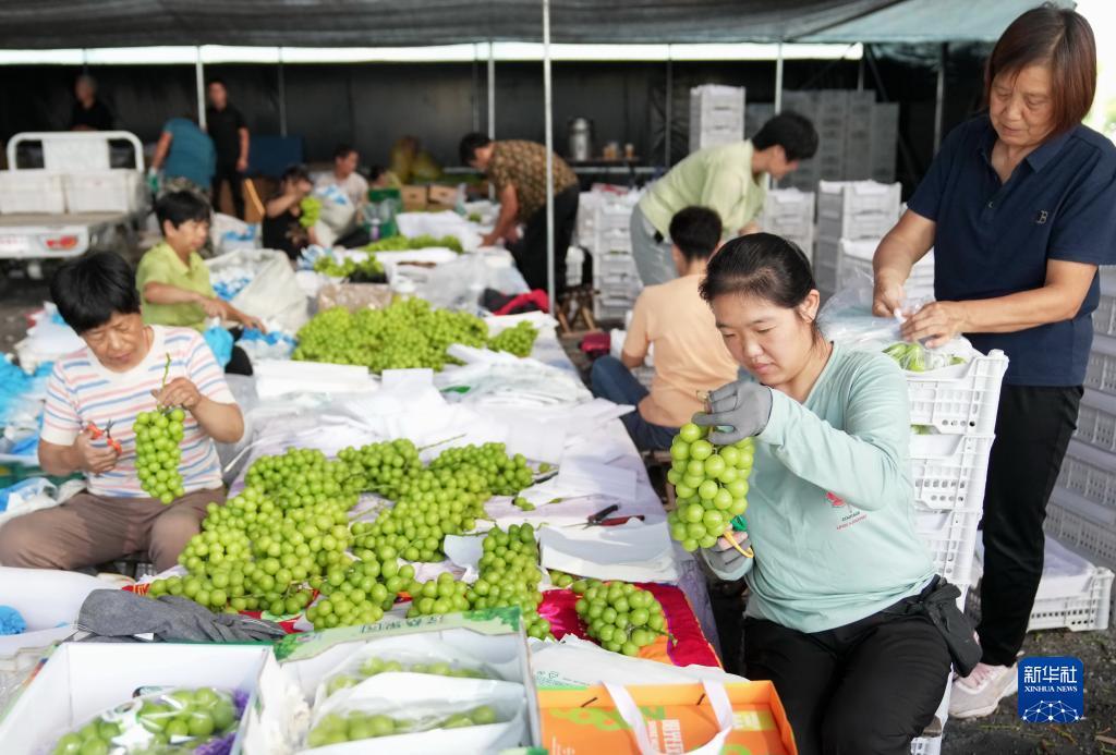博狗游戏平台